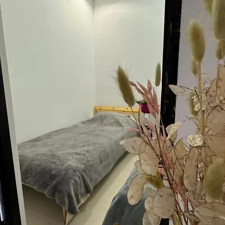 Nicole's Cozy Retreat * Timisoara
